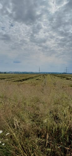 Schöneck Landschaftsweg (Halbmarathonroute)