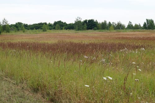 Rundwanderweg Halde Trages