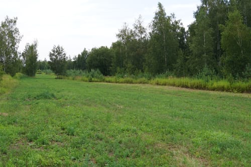Rundwanderweg Halde Trages