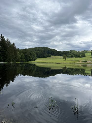 Großer Rundweg Steinklamm bei Spiegelau