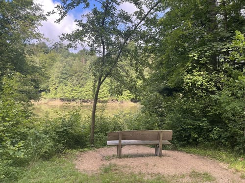 Herrenbachtal Weg