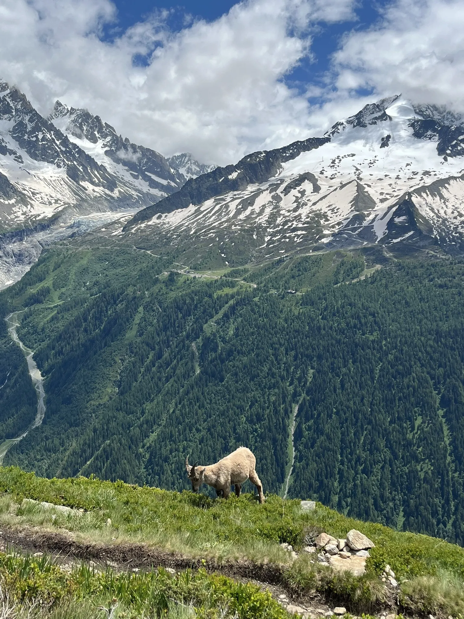 Photo of a trail from Jessica Chrzastowska with title Lac Blanc via Grand Balcon Sud