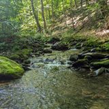 Ashokan High Point Trail, New York - 471 Reviews, Map | AllTrails