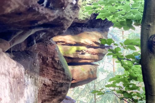 Spirkelbacher Höllenbergtour (Premiumwanderweg)