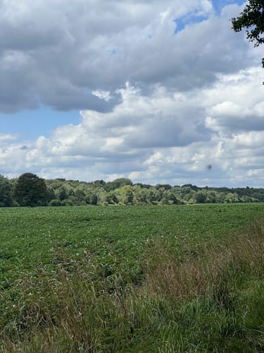 Rund um den Wümme-Nordarm ab Fischerhude