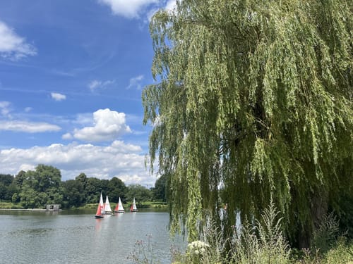 Münster Rundweg und Aasee