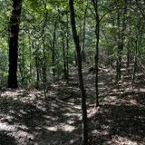 Waterloo Cave Trail, Texas - 355 Reviews, Map | AllTrails