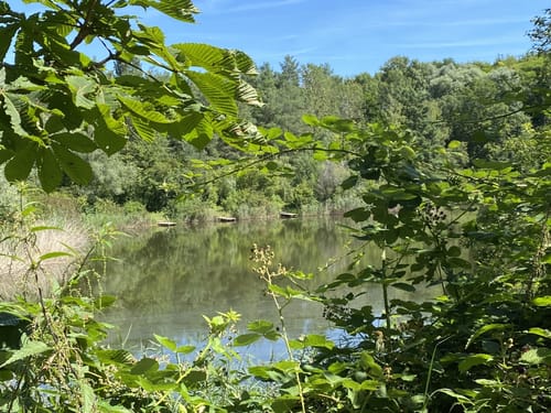 Hochholzer See ab Frauenweiler
