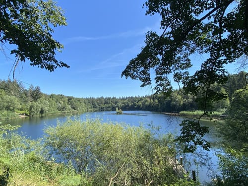 Hochholzer See ab Frauenweiler