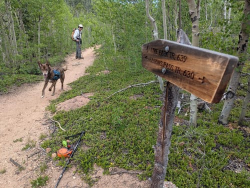 Photos of Hankins Pass Trail Colorado AllTrails