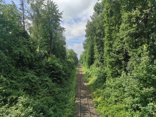 Wacholderheide B1