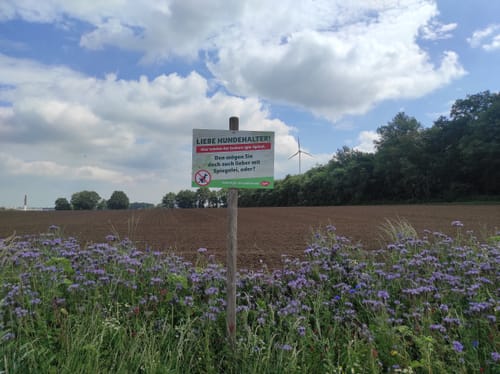 Wacholderheide B1