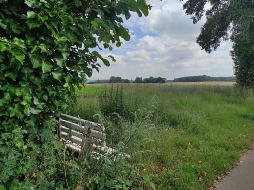 Wacholderheide B1