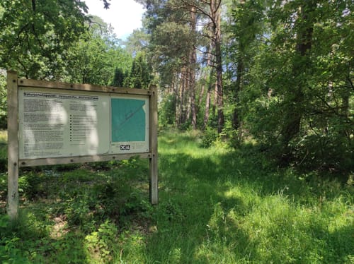 Wacholderheide B1