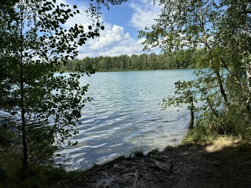 Murner See Weg