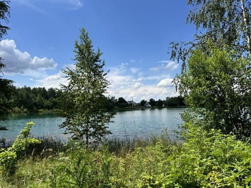 Murner See Weg