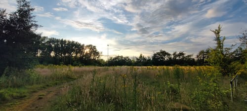 Alt-Hürth Rundweg