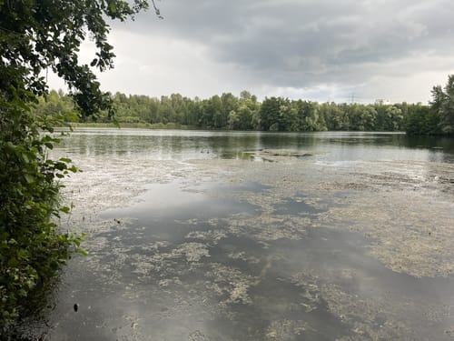Alt-Hürth Rundweg