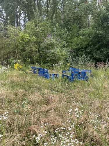 Alt-Hürth Rundweg
