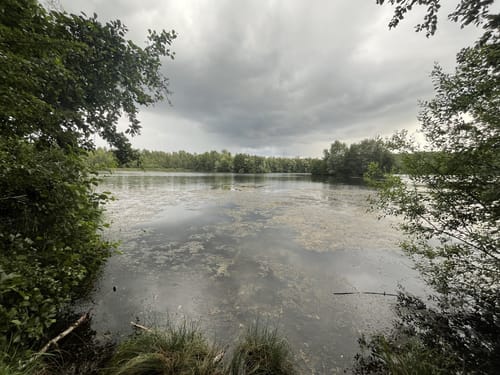 Alt-Hürth Rundweg