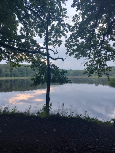 Priorteich Bad Sachsa