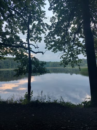 Priorteich Bad Sachsa
