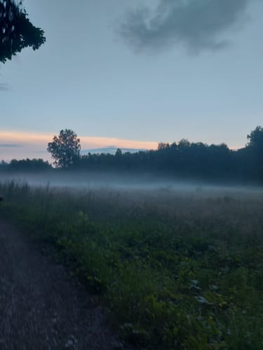 Priorteich Bad Sachsa