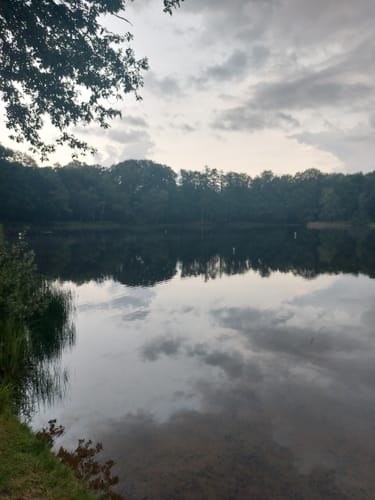 Priorteich Bad Sachsa