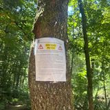 Little Bradley Falls Trail, North Carolina - 2,660 Reviews, Map | AllTrails