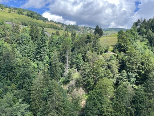 Todtnau Wasserfall Rundweg