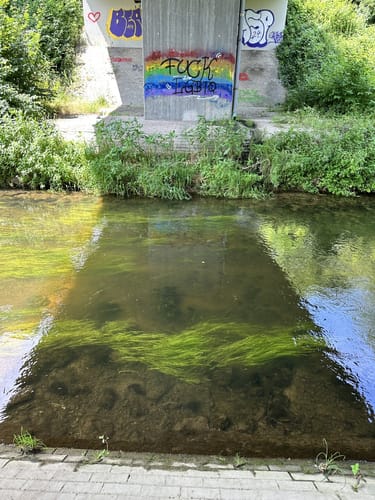 Franziskuskapelle - Rißegg