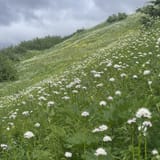 Bird Ridge Trail, Alaska - 1,149 Reviews, Map | AllTrails