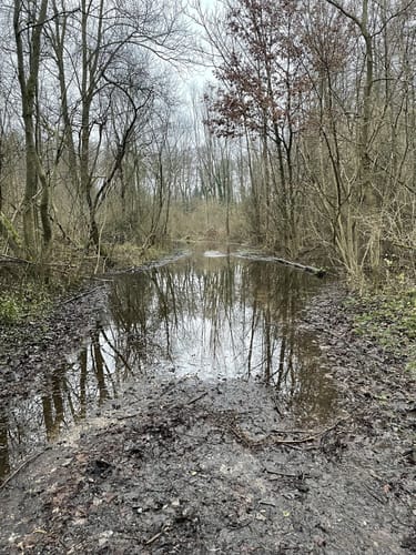 Haus Horst Rundweg A6