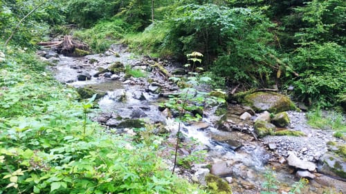 Obere Hausbachklamm Oberreute