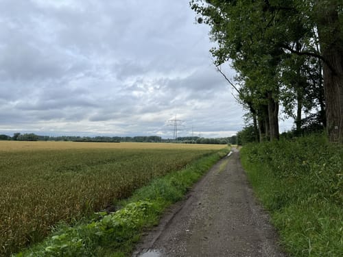 Urdenbacher Kämpe - Große Runde