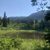 17785742663864253440allescout Mountain And East Fork Of Mink Creek Idaho Alltrailshtml