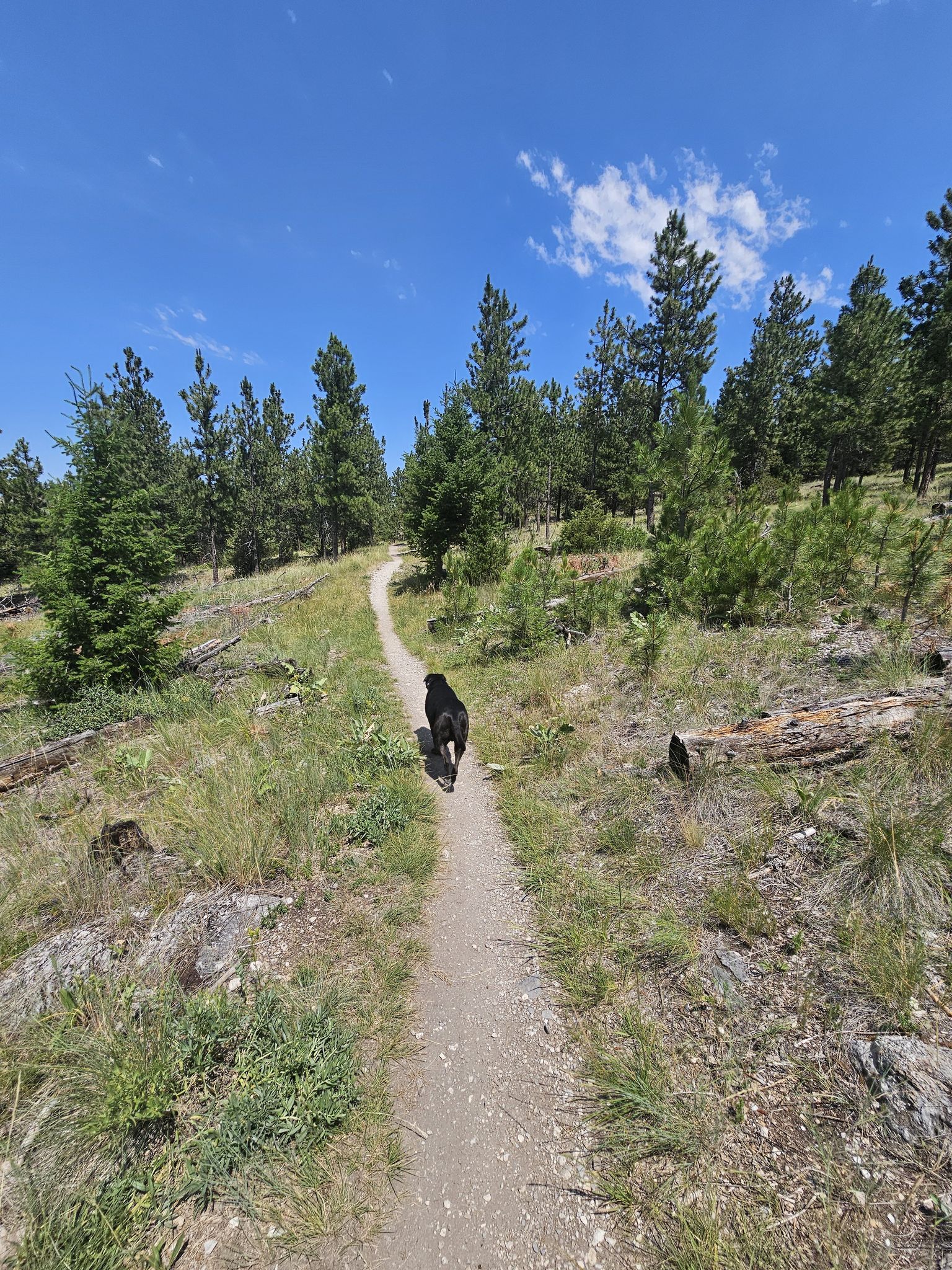 Photos of Easy Rider Loop - Montana | AllTrails