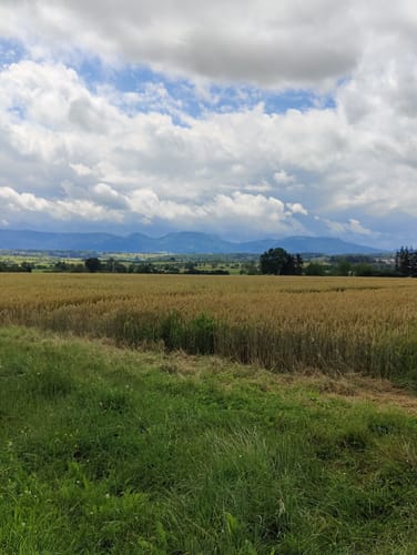 Mittelsbach-Runde