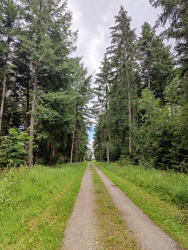Mittelsbach-Runde