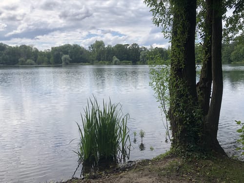 Rund um den Grötzinger Baggersee