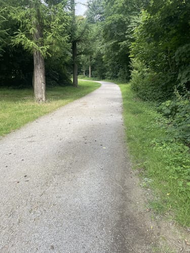 Witthausbusch
