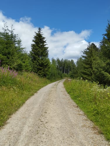 Tanzbergweg (Gr 2)