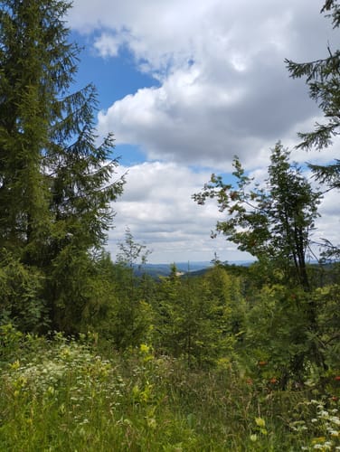 Tanzbergweg (Gr 2)