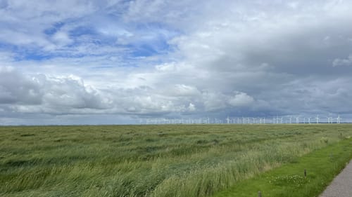 Zur Hallig Krog
