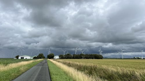 Zur Hallig Krog