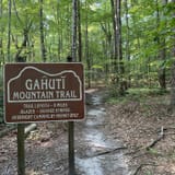 Gahuti Backcountry Trail, Georgia - 1,645 Reviews, Map | AllTrails