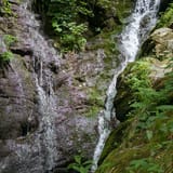 Dark Hollow Falls Trail Virginia - EyJidWNrZXQiOiJhc3NldHMuYWxsdHJhaWxzLmNvbSIsImtleSI6InVwbG9hZHMvcGhvdG8vaW1hZ2UvNzg3OTQxNjAvZDMwYzczMWQ3ZjA4ODY3YWU0ZTg2MjM0ZDMxZDIyYmQuanBnIiwiZWRpdHMiOnsidG9Gb3JtYXQiOiJqcGVnIiwicmVzaXplIjp7IndpZHRoIjoxNjAsImhlaWdodCI6MTYwLCJmaXQiOiJjb3ZlciJ9LCJyb3RhdGUiOm51bGwsImpwZWciOnsidHJlbGxpc1F1YW50aXNhdGlvbiI6dHJ1ZSwib3ZlcnNob290RGVyaW5naW5nIjp0cnVlLCJvcHRpbWlzZVNjYW5zIjp0cnVlLCJxdWFudGlzYXRpb25UYWJsZSI6M319fQ==