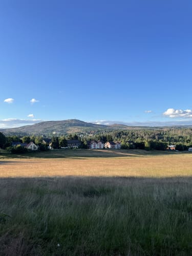 Um die Hasselhofwiesen