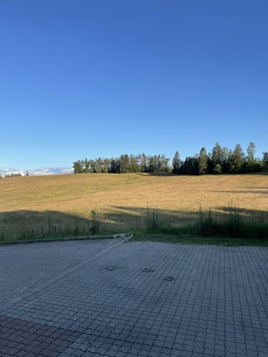 Um die Hasselhofwiesen