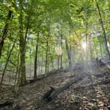 Scotts Gap Loop Trail, Kentucky - 1,037 Reviews, Map | AllTrails